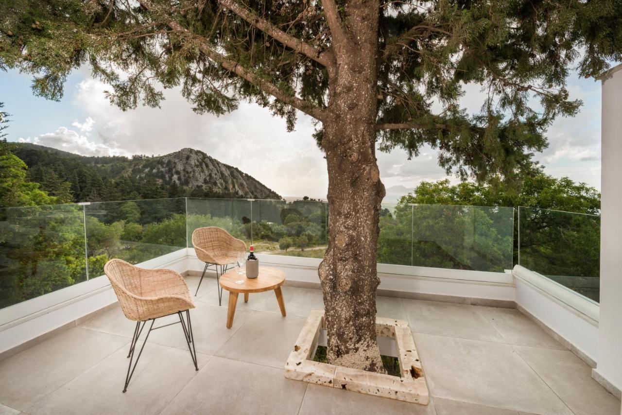 Forest View Villas 1 Lagoudi Zia Exterior photo