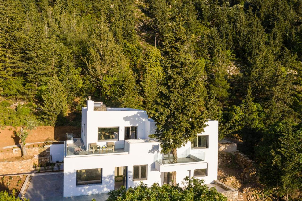 Forest View Villas 1 Lagoudi Zia Exterior photo